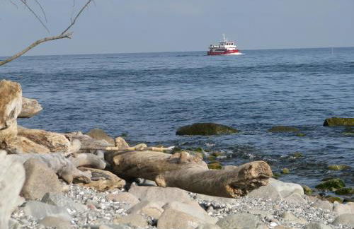 Ferienhaus Saupe - Foto 29