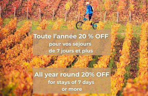 Domaine des Aulnaies - Beauval - Mareuil sur Cher - Foto 53