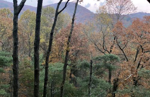 Quiet Ellijay Cabin 2 Master Ensuites, Stunning Views, Hot Tub, Dogs Welcome - Foto 75