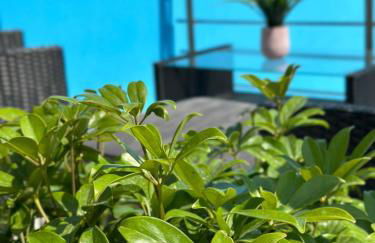 Gikas Apartments - Foto 22