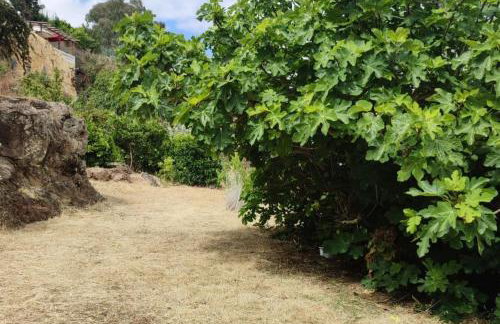 Casa cueva El Balcón del Cortijo - Foto 24