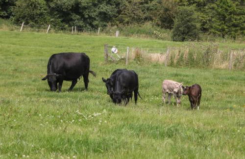 Harry's Lodge - Foto 24