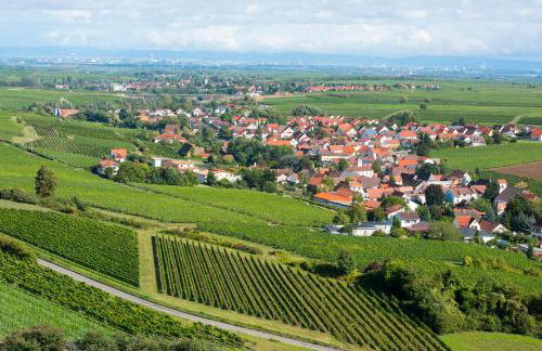 Burggarten Appartements Neuleiningen - Foto 51