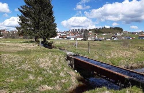 Ferienwohnung am See - Foto 19