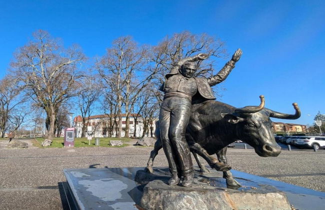 Relaxing Garden Retreat in Dax - Foto 23