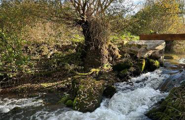 Seosko Imanje Na Obali Rijeke - Foto 13