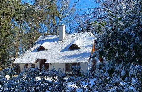 Ferienhaus Boschhuys - Foto 63