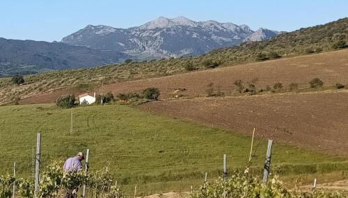 Nature Lovers Escape on an Eco-friendly Vineyard - Foto 3