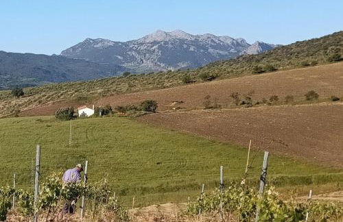 Nature Lovers Escape on an Eco-friendly Vineyard - Foto 3