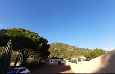 Clos Jeannette Villa 5 min de Sainte Lucie de Porto vecchio et de la plage de Pinarelle ainsi que des piscines naturelles du Cavu - Foto 16
