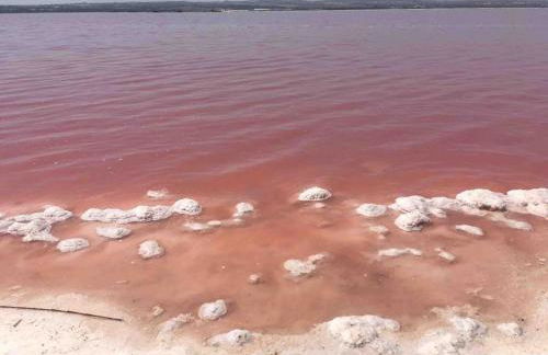 NEW! Romantic house at red lake in Torrevieja! - Foto 57