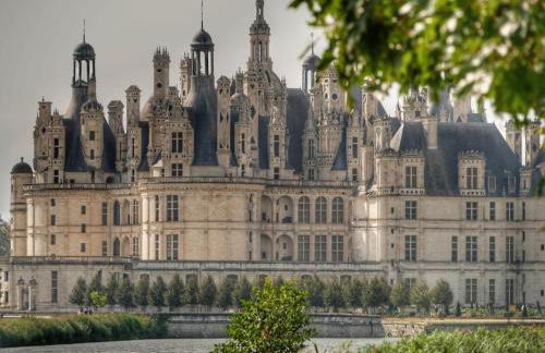 Gîte élégant avec grand jardin privé, idéalement situé près des châteaux et activités, tout inclus - FR-1-491-358 - Foto 17