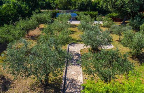 Istria Moderna in Muntić (Haus für 4-6 Personen) - Foto 51