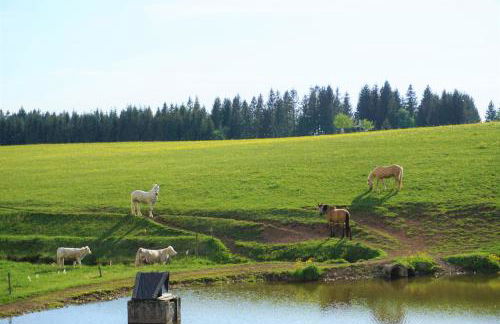 Ehrenmättlehof Faißt - Foto 23