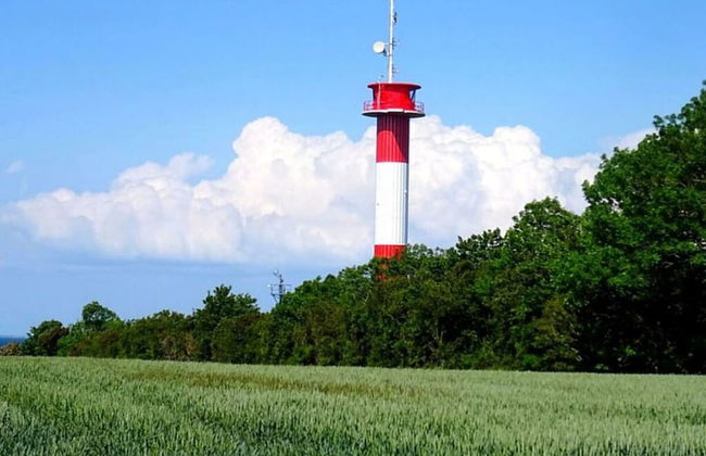 Swallow's Nest in the House by the Pond - Foto 12
