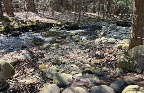 Twin Pines Lake Resort 1 - Foto 27