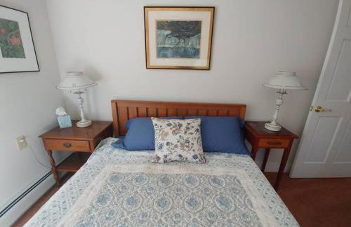 Spacious country retreat close to town and nature, Sylvana Farm VT - Foto 7