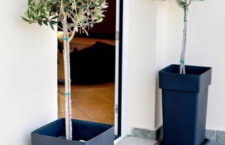 Dioni Apartments - Foto 29