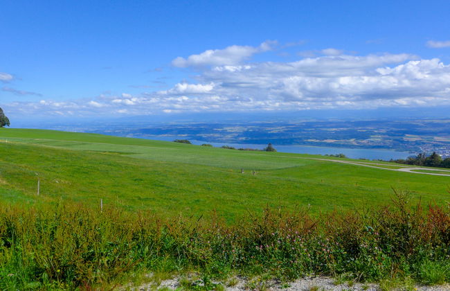 Chalet la Frêtaz - Foto 22