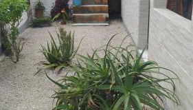 Casa de temporada em Ponta das Canas - Foto 4, Garden