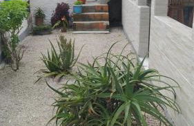 Casa de temporada em Ponta das Canas - Photo 4