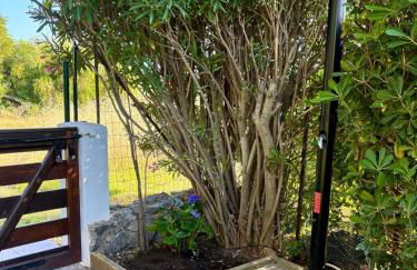 Villa Giò Geremeas fronte mare - Foto 64