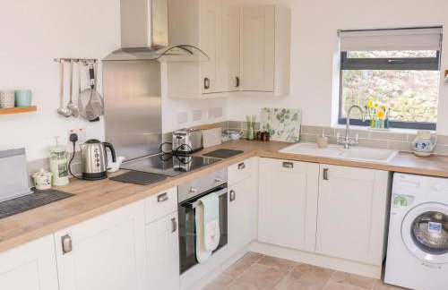 Black Cat Bach - Foto 15