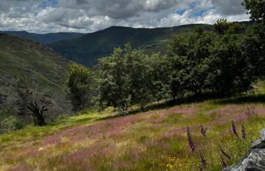 A Barreira -Lar da cima- - Foto 48