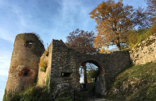 La Maison des Fontaines D'alsace - Foto 35