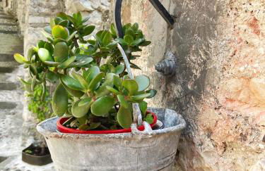 Le Due Terrazze - Foto 8