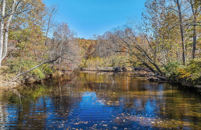 Mariposa Moon Cottage at Sleepy Creek - Foto 34