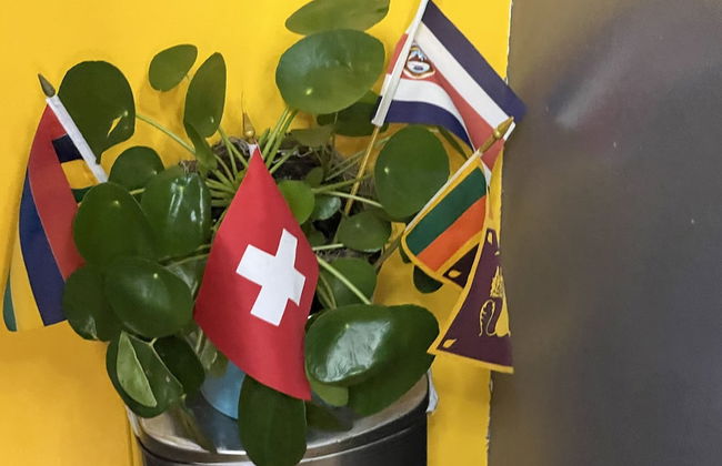 Pied-A-Terre Mont-Royal - Foto 25