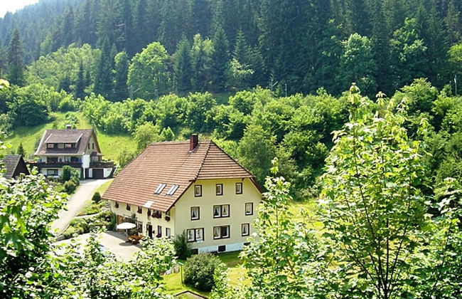 Forest Family Stay, Triberg - Foto 15