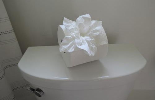 Tranquil Getaway Cottage in Charming, Bethel CT - Foto 27