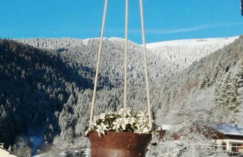 Il nido del pettirosso alloggio per coppie - Foto 30