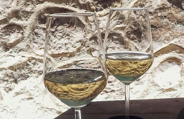 Collis Petri Relais - Photo 24