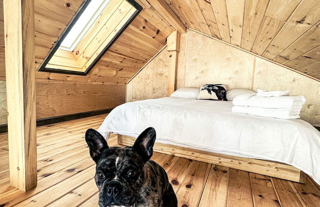 Centre plein air Otis Nature - Foto 16