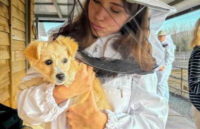 Milea Agritourism - Foto 89