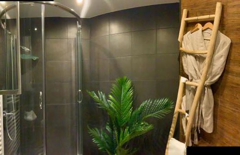 Workout Appartement bei Magdeburg - Foto 6