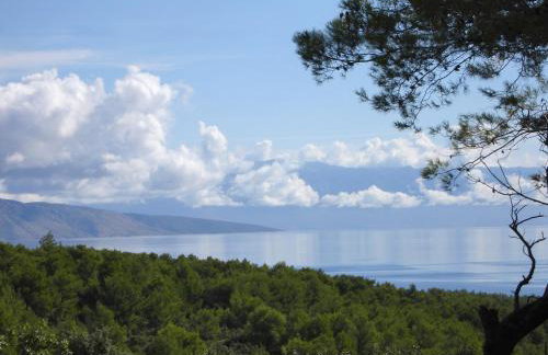 Apartments Basina - Foto 66