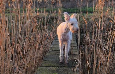 Oak Cottage at Gravel Farm - Photo 25