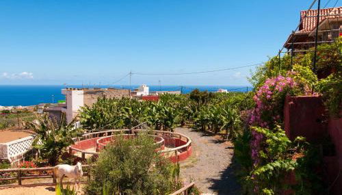 Traditional Arucas by VillaGranCanaria - Foto 2, Garden view