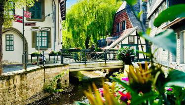 Moderne Altstadt Apartments - Marktplatznähe- ruhige zentrale Lage - Natur&Kultur - Foto 2