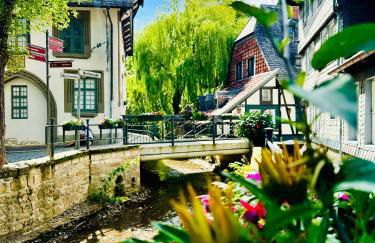 Moderne Altstadt Apartments - Marktplatznähe- ruhige zentrale Lage - Natur&Kultur - Foto 2