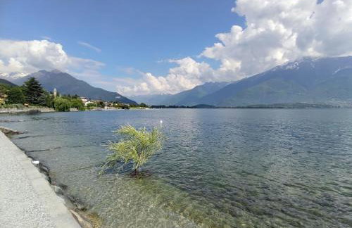 Holiday Home Gelsomino - GLA125 by Interhome - Foto 56