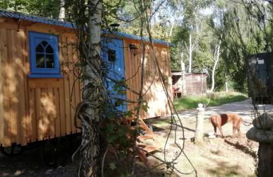 Sapphire forest garden shepherd’s hut - Foto 5