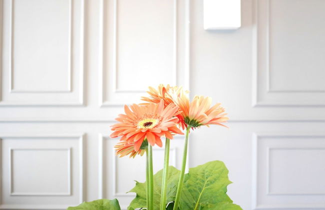 Zetter Suites - Foto 15