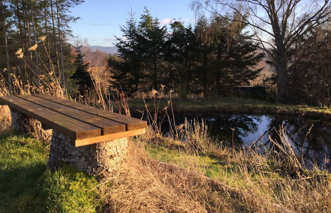 Torran View - Foto 27