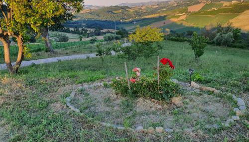 La Casetta al Sole - Foto 4, Garden, Garden view