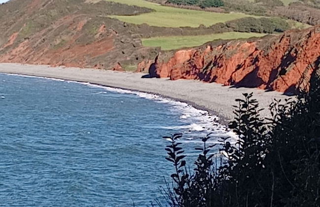 Sylvie's Country Cottage - Foto 19